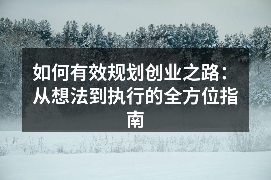 如何有效规划创业之路：从想法到执行的全方位指南