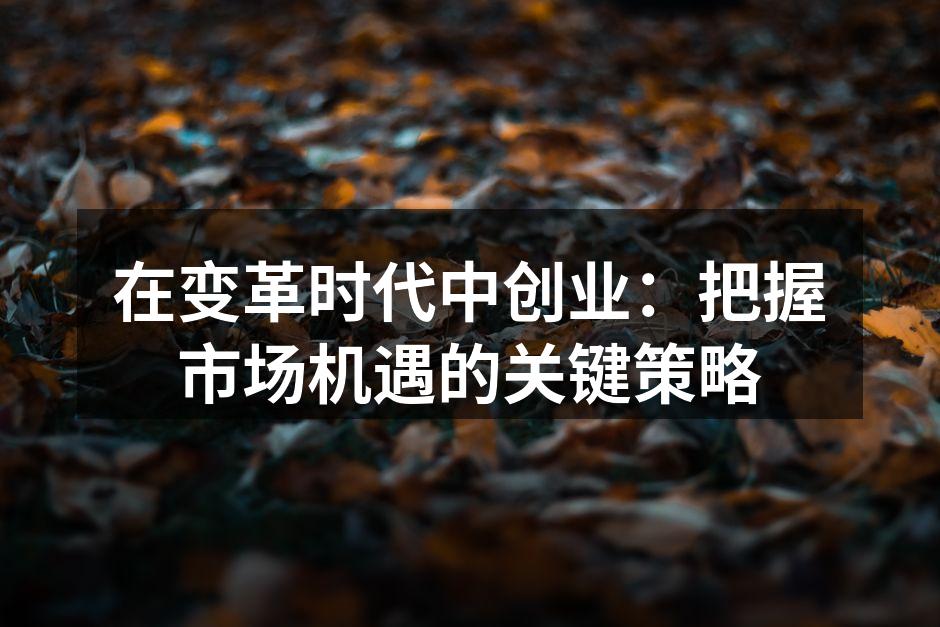 在变革时代中创业：把握市场机遇的关键策略